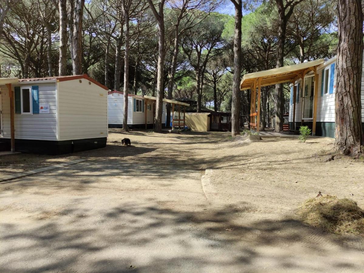 Mipro Mobilhome 5 Лидо-ди-Спина Экстерьер фото