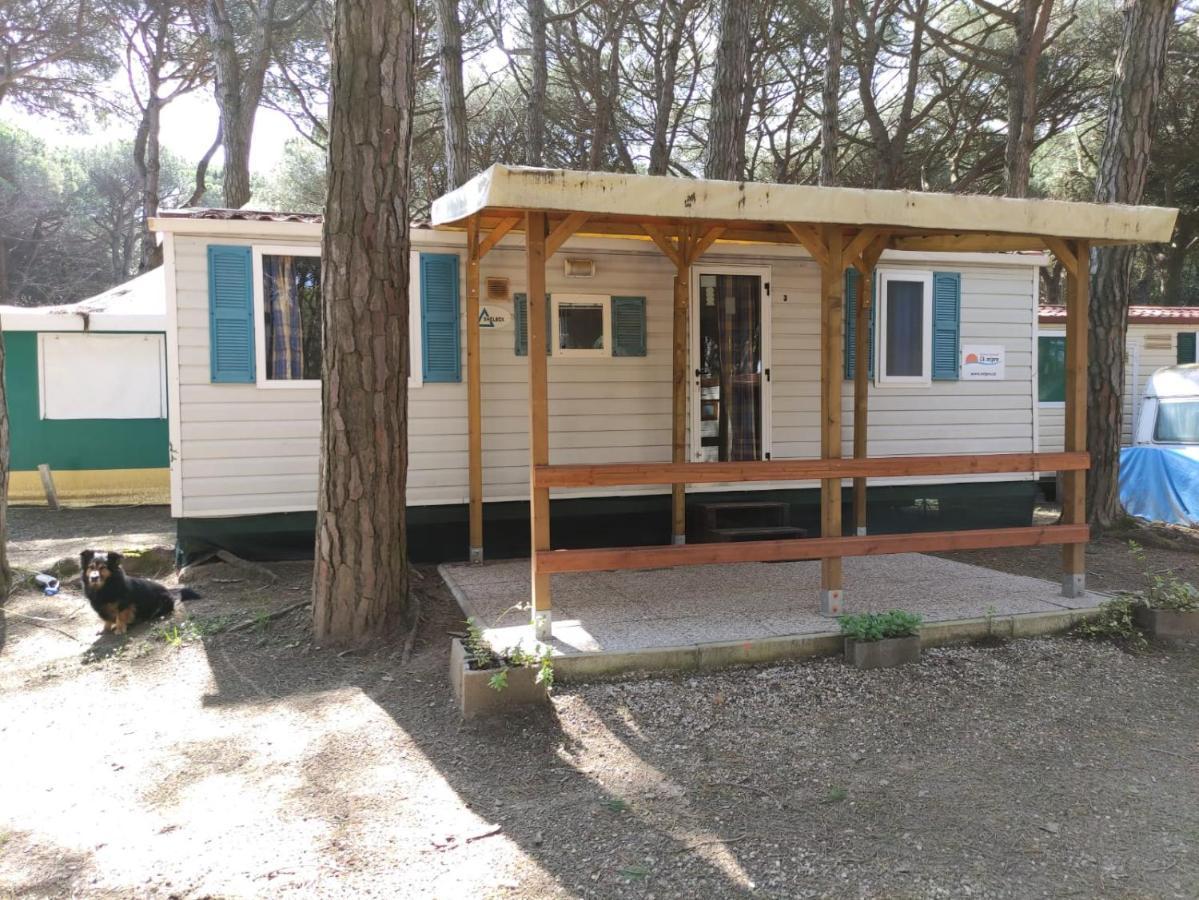 Mipro Mobilhome 5 Лидо-ди-Спина Экстерьер фото
