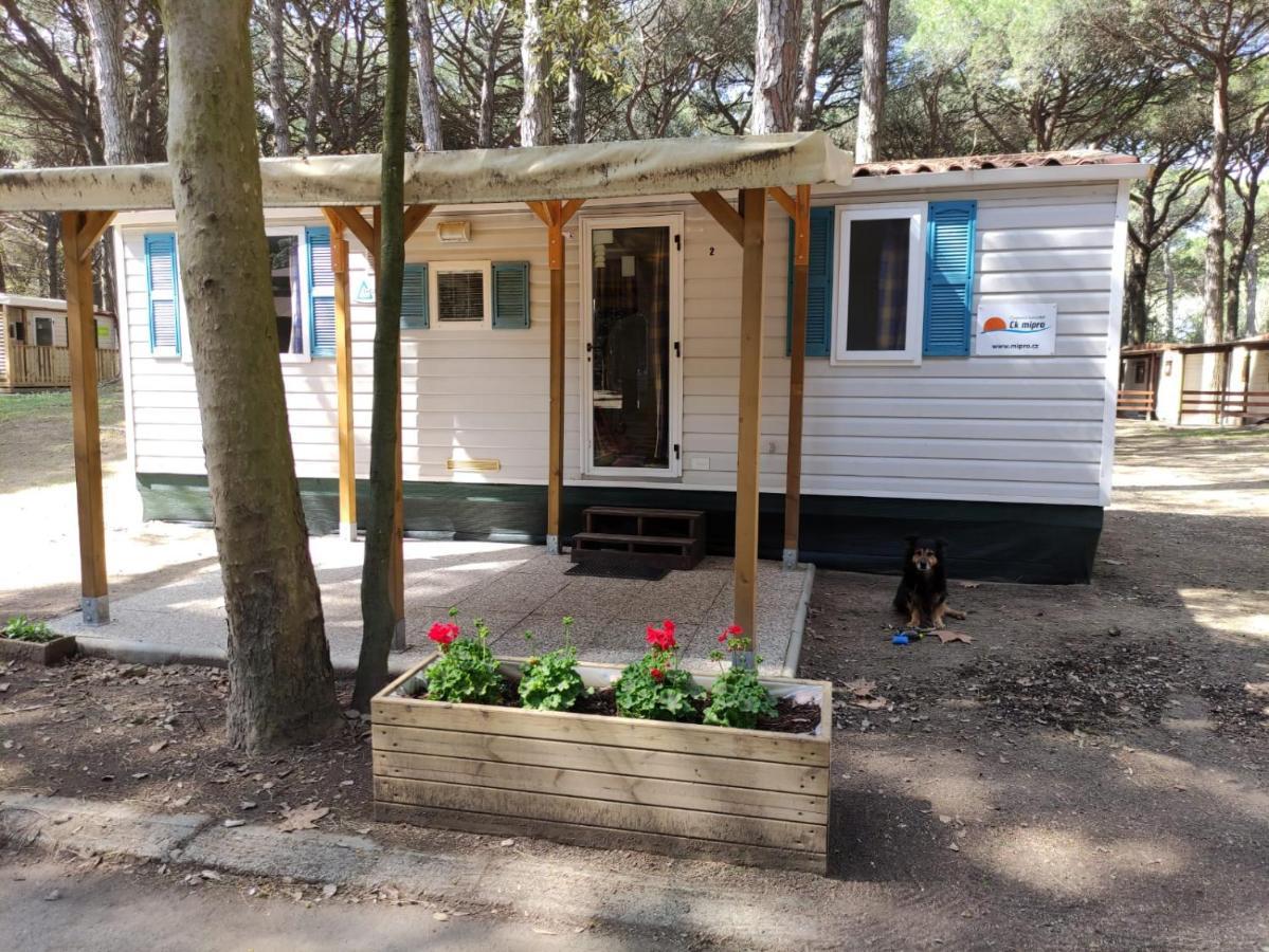 Mipro Mobilhome 5 Лидо-ди-Спина Экстерьер фото